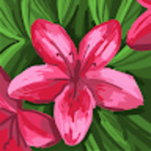 Meet your Posher, Claudia